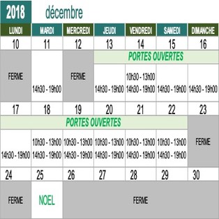 NoelPO
